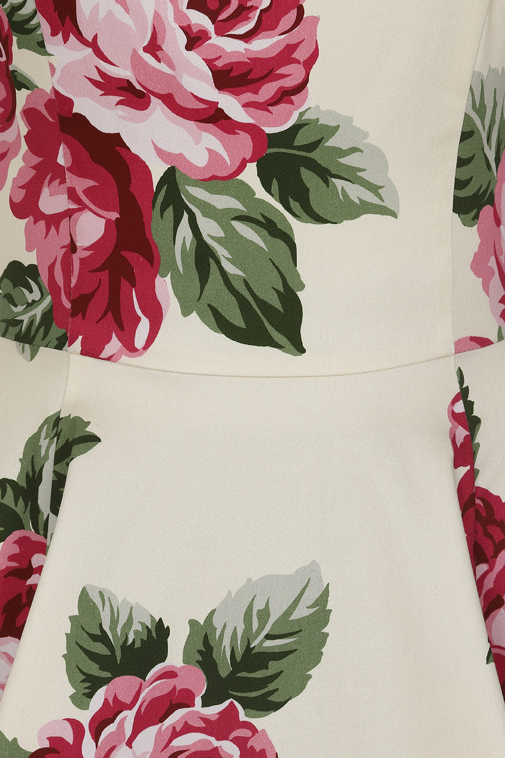 Frances Floral Swing Dress